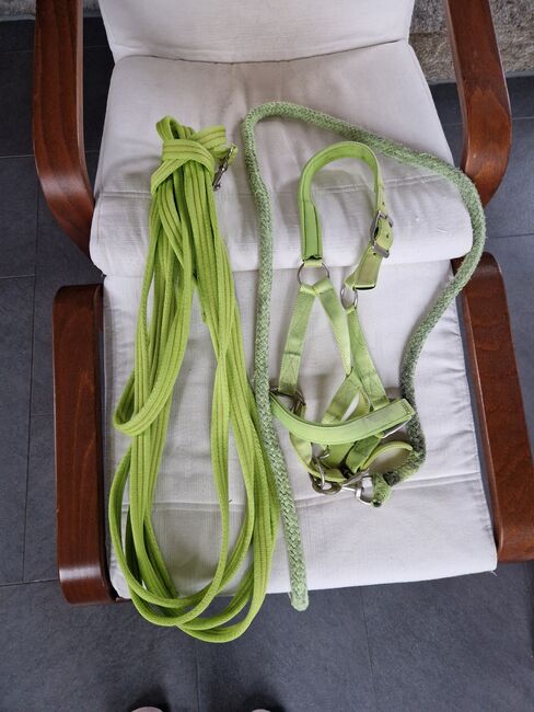 Longe Halfter mit strick cob neon grün lime, K. Werner, Lunging, Westerwalsede