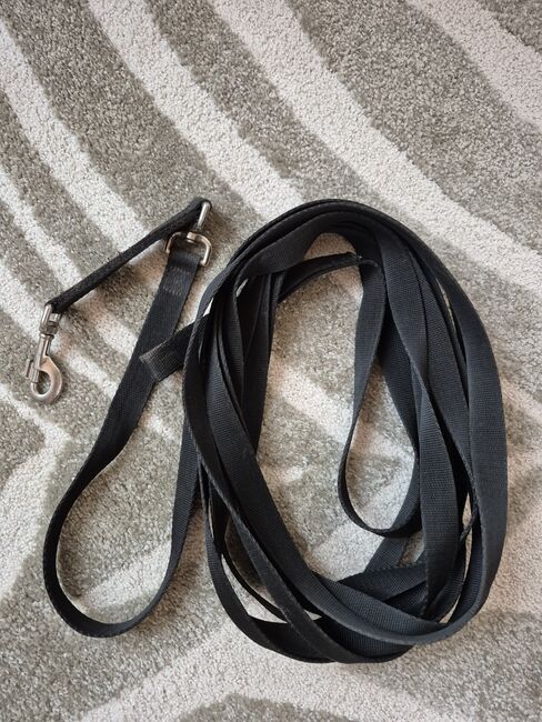Longe mit Handschlaufe, Frau H., Lunging, Annweiler