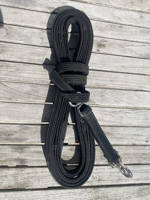 Longe mit Wirbel und Snap, Isabel, Lunging, Sonnenbühl