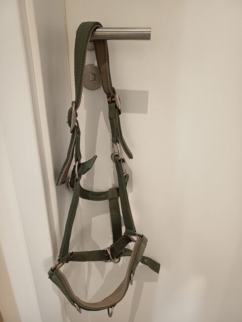 Longierhalfter, Full, olivgrün, Elka, Halters, Alfdorf