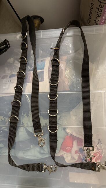 Ausbinder Pferde WB Longierzubehör, Krämer, Sarah Koch, Lunging, Feldkirchen - Westerham