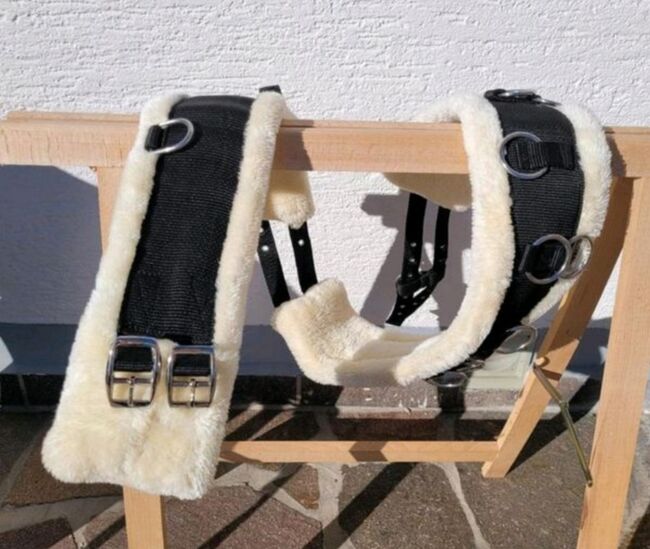 Longiergurt PONY, Showmaster, Sarah, Lunging, Schönwölkau