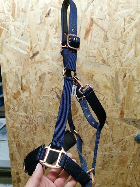 Longierhalfter von Showmaster, Showmaster , Marina Bergmann , Halters, Diekholzen, Image 2
