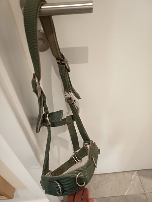 Longierhalfter, Full, olivgrün, Elka, Halters, Alfdorf, Image 2