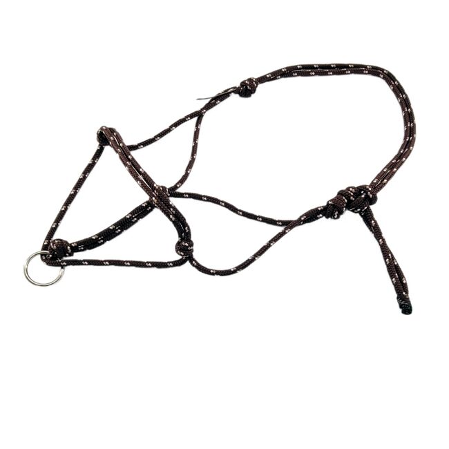 Longierknotenhalfter Shetty in Braun-Weiss-Beige, Freespirit Horse Art, Maya (Swisshorseshop), Lunging, Frauenfeld