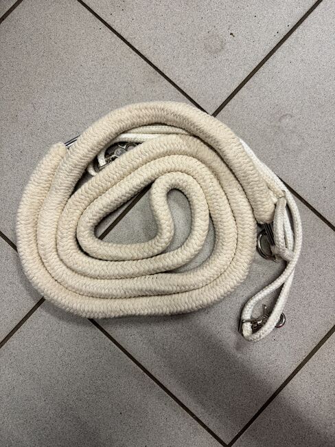 Longierhilfe, Nina, Lunging, Stang bei Hatzendorf