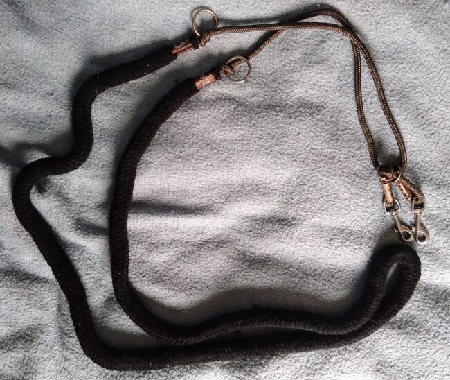 Longierhilfe, Sianka , Lunging, Berlin