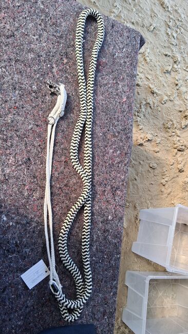 Longierhilfe, Melissa, Lunging, Thedinghausen 