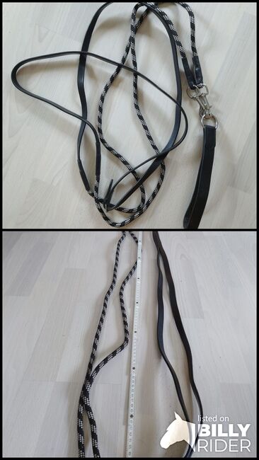 Schlaufzügel, Janina Beilfuß, Training Aids, Ahrensbök, Image 3