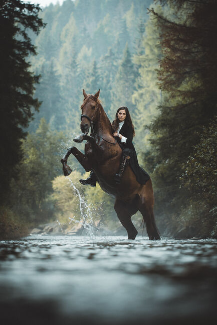 Lusitano Wallach, Julia Passler, Horses For Sale, Toblach