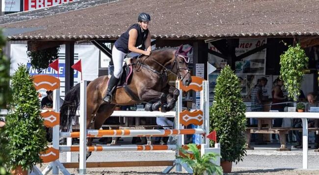 Luvras sucht neuen Lebensplatz, Manuela, Horses For Sale, Schaffhausen , Image 11