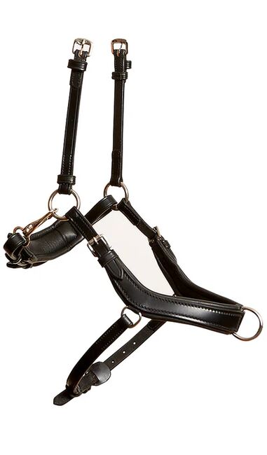 Luxus für Weihnachten? Trensenset mit Zügeln und Tasche, Equitec und Stübben, Brigitta, Bridles & Headstalls, Eisgarn, Image 6