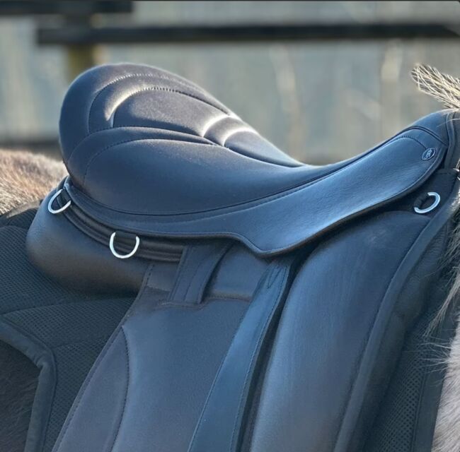 Luxus Freizeitsattel für kurze breite Pferde — Probeversand — Isländer Haflinger Friese Kaltblut COB, Jeremy Rudge Contour mit Ponybaum, Ariane (MEIN LIEBSTER SATTEL), Wanderreitsattel, Pressig