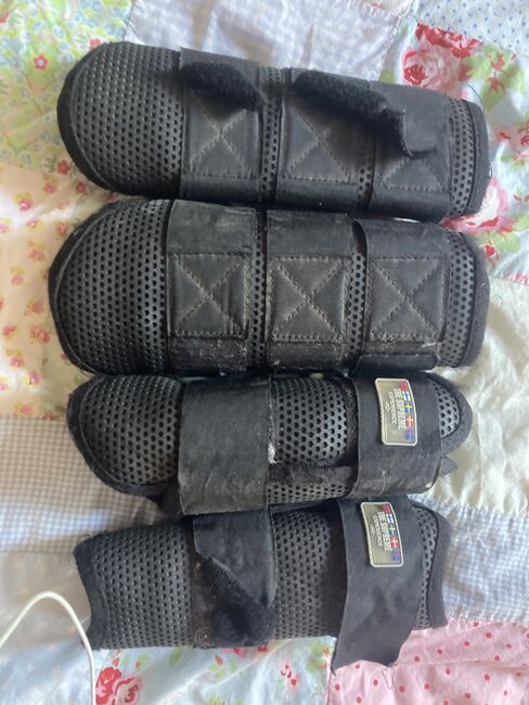 Vielseitigkeitsgamaschen, Horze, Katja Ringe, Tendon Boots, Emmerthal 