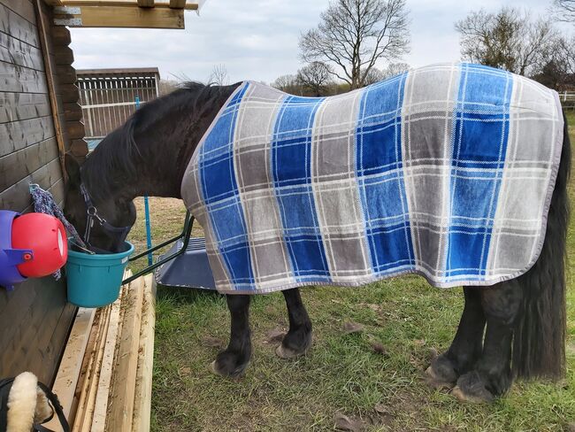 Gr. 135 M Dralon Abschwitzdecke blau kariert, Eskadron Dralon , Katrin , Horse Blankets, Sheets & Coolers, Tornesch 