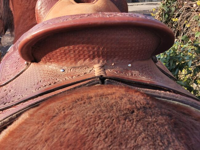 Neuwertiger Marken-Westernsattel ROYAL KING für Kaltblut u.ä, Royal King  Westernsattel , Alex H. , Western Saddle, Witten, Image 8