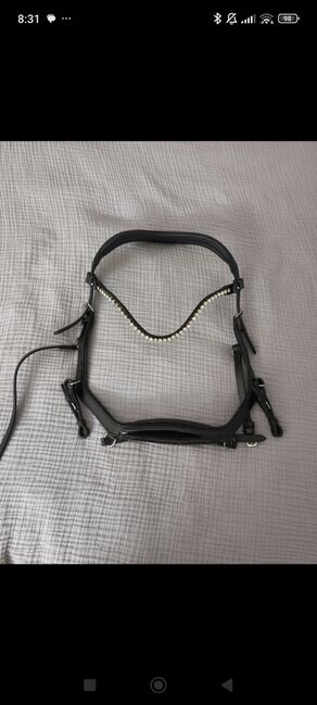 Magic Horse Design Trense Micklem, Magic Horse Design  Micklem , lisa-Marie, Bridles & Headstalls, Balingen