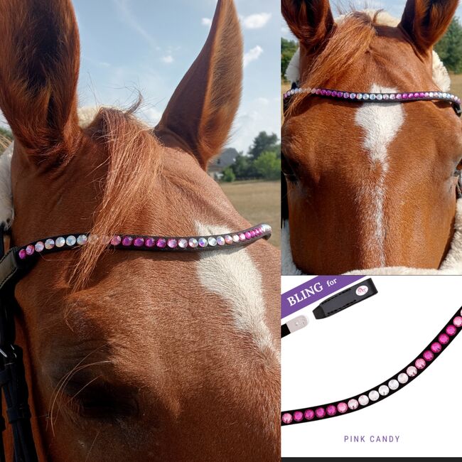 Magic Tack 'PINK CANDY' Stirnriemen (neues System) Bling, Swing, Magic Tack  Bling, Swing (neues System), Josi, Browbands, Oderaue