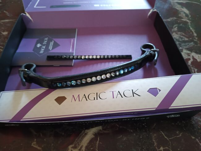 Magictack Sattelriemen, Magictack Sattelriemen, Xandi, Saddle Accessories, Hollabrunn, Image 3