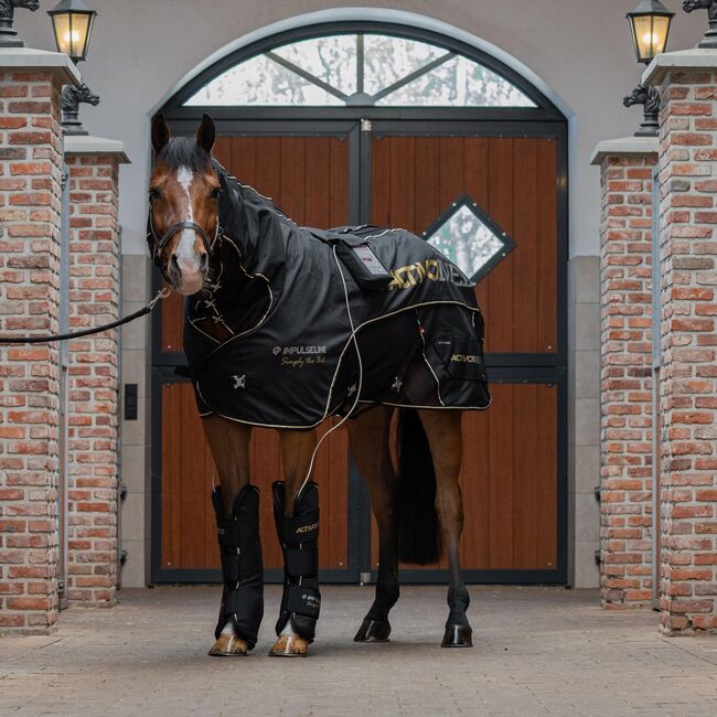 Magnetfelddecke & Gamaschen Set - ActivoMed IMPULSELINE Carbon Set- Simply the Best Limited Edition, ActivoMed IMPULSELINE Carbon Set- Simply the Best Limited Edition, Lora Biethahn , Horse Blankets, Sheets & Coolers, Alfter