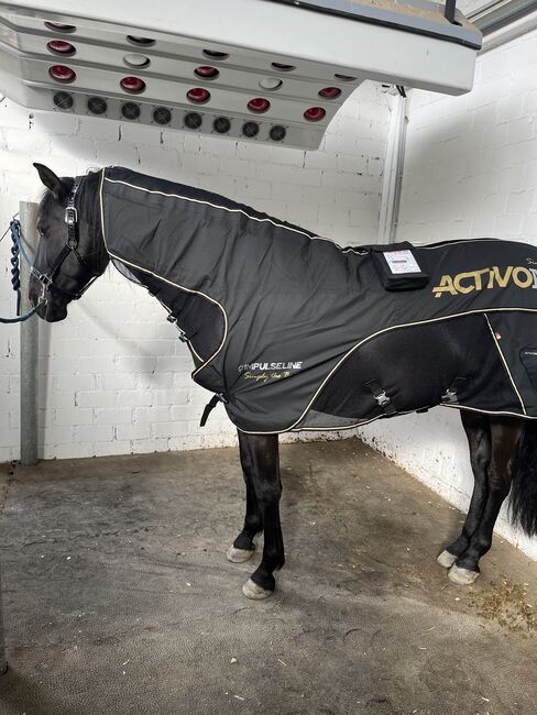 Magnetfelddecke & Gamaschen Set - ActivoMed IMPULSELINE Carbon Set- Simply the Best Limited Edition, ActivoMed IMPULSELINE Carbon Set- Simply the Best Limited Edition, Lora Biethahn , Horse Blankets, Sheets & Coolers, Alfter, Image 3