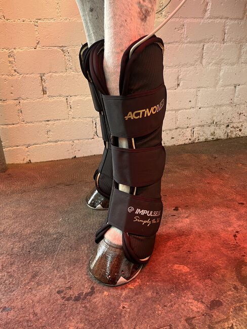 Magnetfelddecke & Gamaschen Set - ActivoMed IMPULSELINE Carbon Set- Simply the Best Limited Edition, ActivoMed IMPULSELINE Carbon Set- Simply the Best Limited Edition, Lora Biethahn , Horse Blankets, Sheets & Coolers, Alfter, Image 4