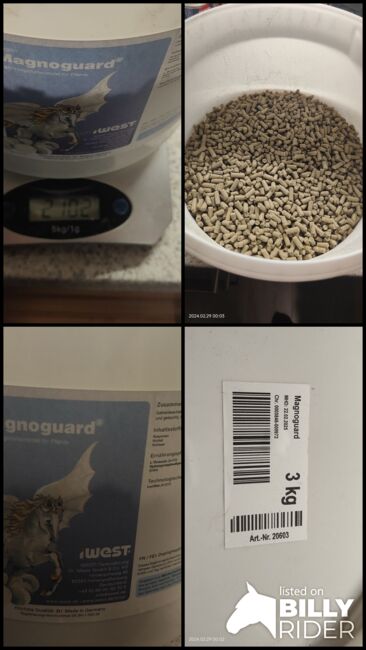 Magnoguard, iWest Magnoguard, Laura Wortmann, Horse Feed & Supplements, Hamm, Image 5