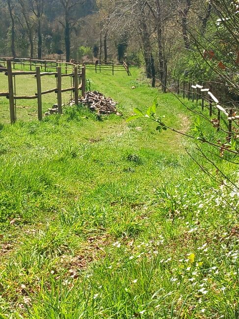 Kleine Farm Nordspanien Provinz Lugo 1,2 Hektar, Carmen Pape, Nieruchomości jeździeckie, Meira