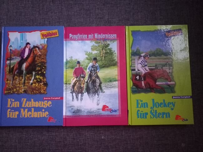 Kleines Buchpaket, Vanessa , Książki, Unterretzbach