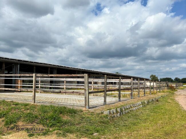 Reitanlage mit Stall & Wohnung zu verpachten – Reitschulgründung, Silke Köhler , Equestrian Properties, Schneverdingen, Image 5