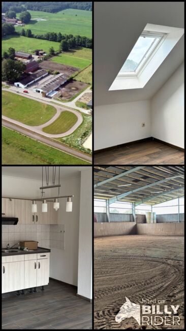 Reitanlage mit Stall & Wohnung zu verpachten – Reitschulgründung, Silke Köhler , Equestrian Properties, Schneverdingen, Image 9