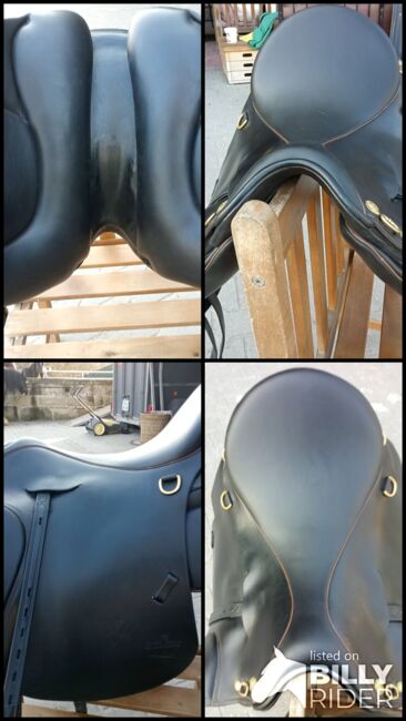 Marakesh von Sommer, Sommer Marakesh, Susanne Brückner, Endurance Saddle, Rödental, Image 7