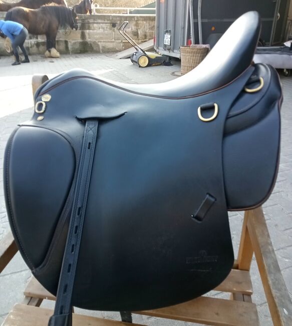 Marakesh von Sommer, Sommer Marakesh, Susanne Brückner, Endurance Saddle, Rödental, Image 3