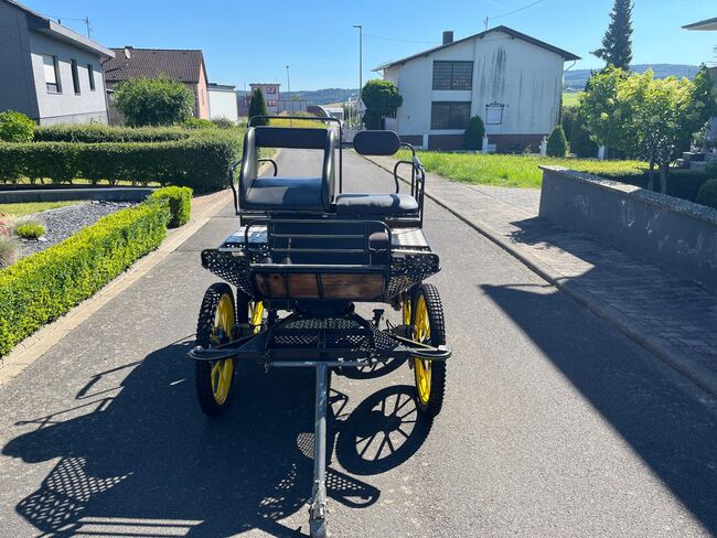 Marathonwagen, Kutschen Eitel, Bianca, Carriages, Bundenbach, Image 3