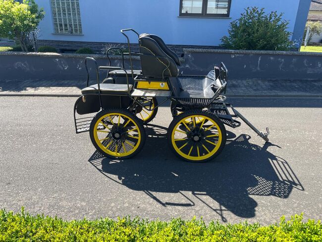 Marathonwagen, Kutschen Eitel, Bianca, Carriages, Bundenbach, Image 9