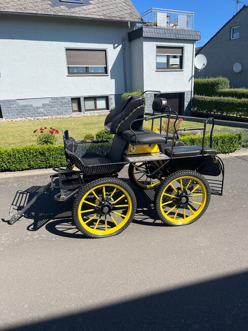 Marathonwagen, Kutschen Eitel, Bianca, Carriages, Bundenbach, Image 11