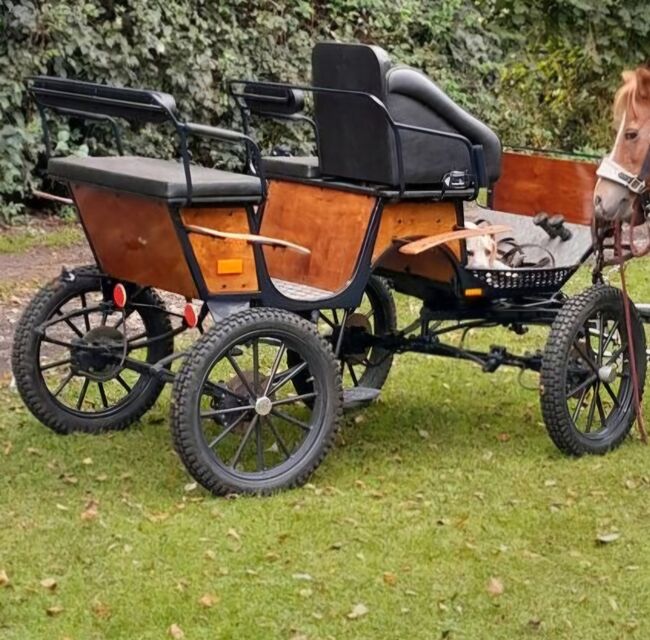 Marathon-/Jagdwagen Kutsche Pony, Lipsmeier, Sandra Janning , Carriages, Westerkappeln, Image 2