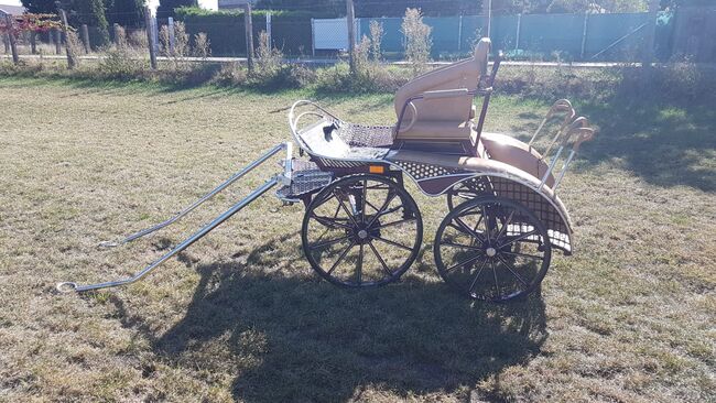 Marathon-/Geländekutsche mit Dressursitz, PEGASUS, H.C.S., Carriages, Förderstedt, Image 2