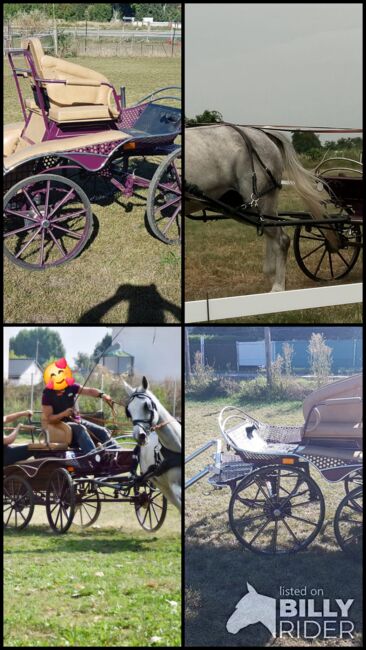 Marathon-/Geländekutsche mit Dressursitz, PEGASUS, H.C.S., Carriages, Förderstedt, Image 7