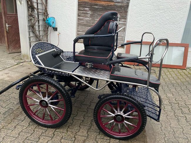 Marathonkutsche "Eitel Kutschen" zvk., Eitel Kutschen  Marathonkutsche , Petra Scholz , Carriages, Erbes-Büdesheim, Image 10