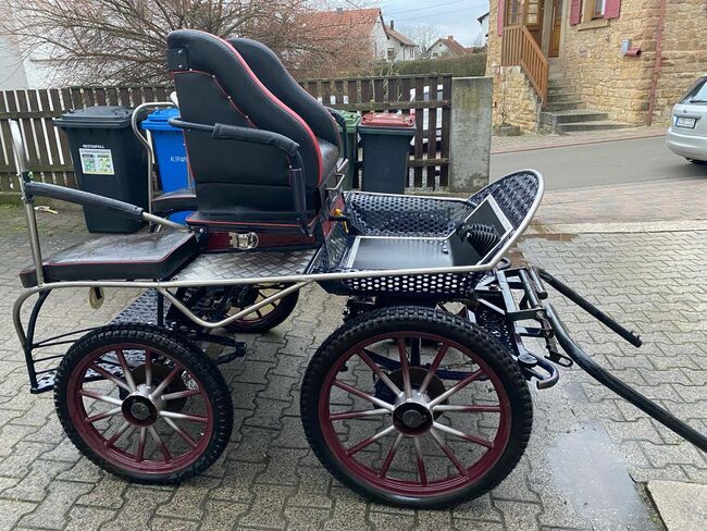 Marathonkutsche "Eitel Kutschen" zvk., Eitel Kutschen  Marathonkutsche , Petra Scholz , Carriages, Erbes-Büdesheim, Image 7