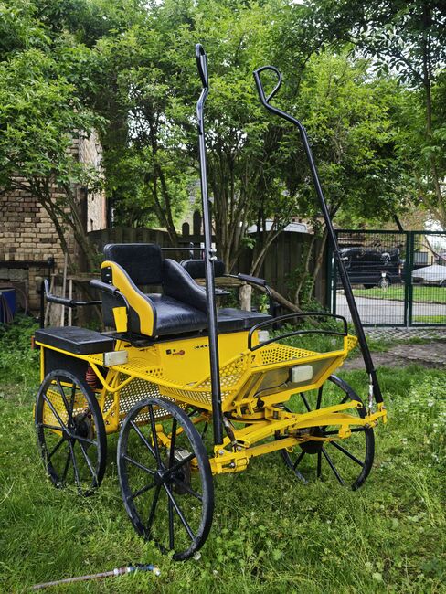 Marathonwagen Kutsche Trainingswagen, Iris Rönsch , Carriages, Bennewitz 