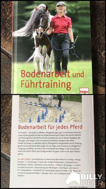 Bodenarbeit und Führtraining neuwertig, Sandy, Books, Mayen, Image 3