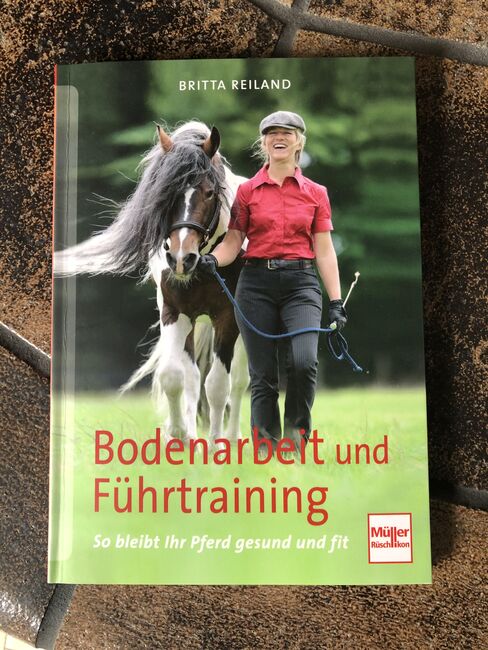 Bodenarbeit und Führtraining neuwertig, Sandy, Books, Mayen