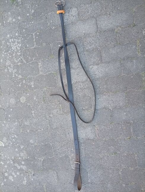 Martingal Grosspferd, TaBe, For Horses, Lehrte