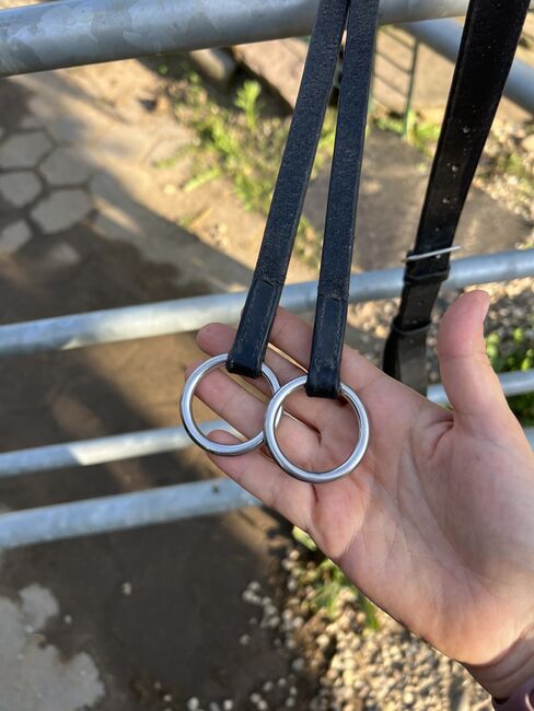 Martingal, Felix Bühler , Sina, Training Aids, Hamminkeln, Image 2