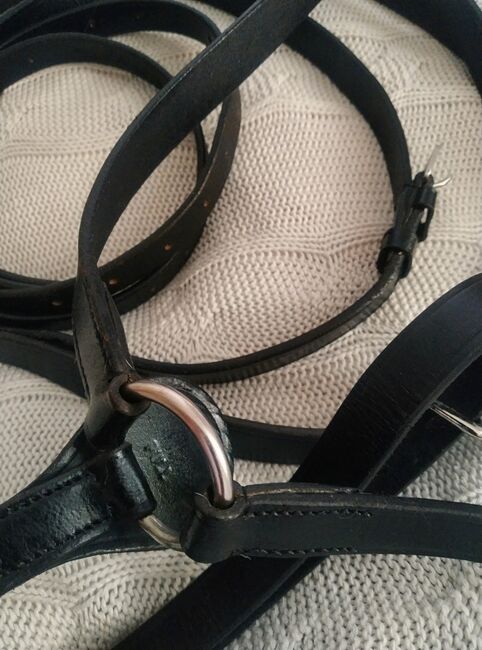 Martingal Warmblut/Full in Schwarz, Ina, Training Aids, Berlin