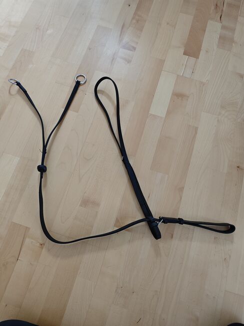 Martingal WB, Angela, Training Aids, Owingen 