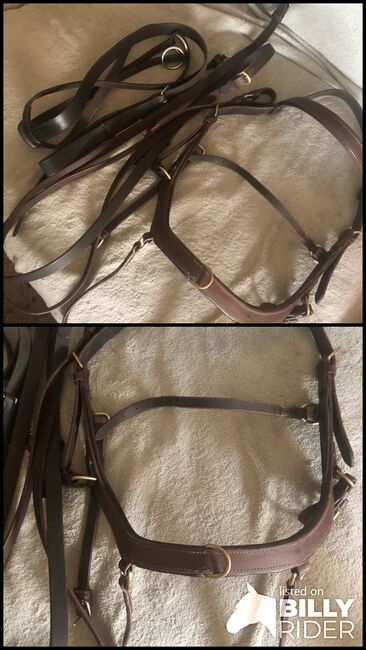 Martingal braun Gr COB/Full, Sabine Hermann, Bridles & Headstalls, Goch, Image 3