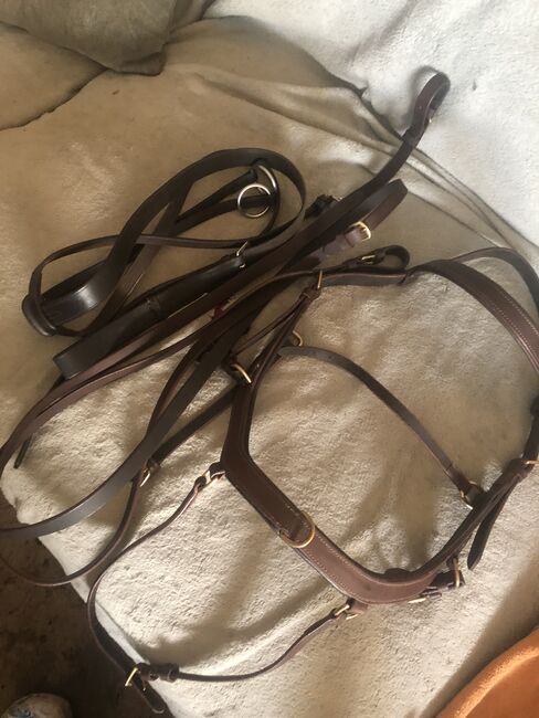 Martingal braun Gr COB/Full, Sabine Hermann, Bridles & Headstalls, Goch